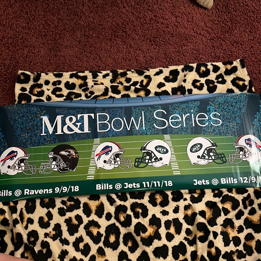 2018 M&T Bowl Football Series Collectible Banner